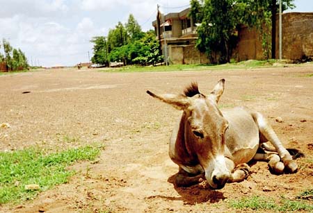 07-Ougadougou2