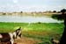 11-Mopti-Niger